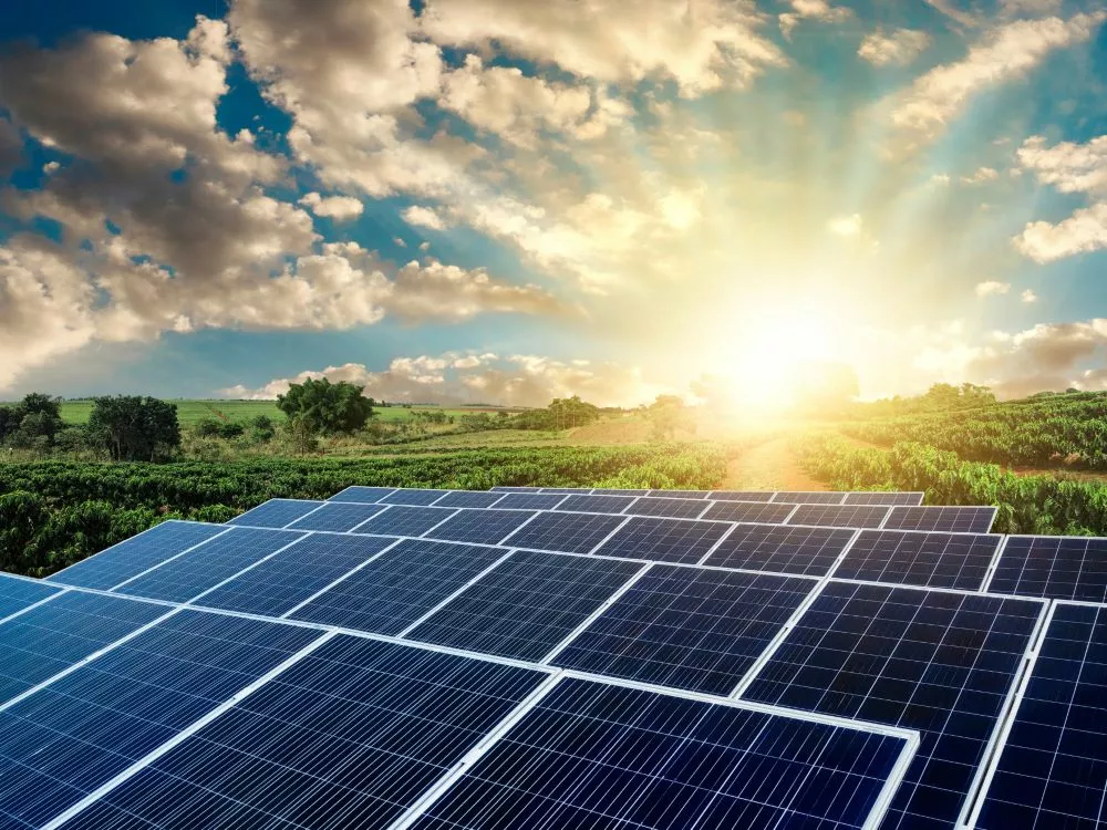 Panneaux photovoltaïques : les députés adoptent des mesures sur « l’agrivoltaïsme »