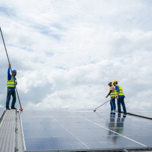 Ouvriers nettoyant des panneaux solaires