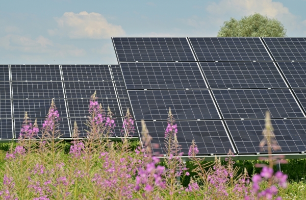 Support pour panneaux solaires au sol