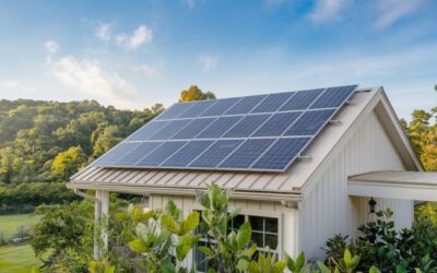 Actualité panneau solaire : où en est l’énergie solaire